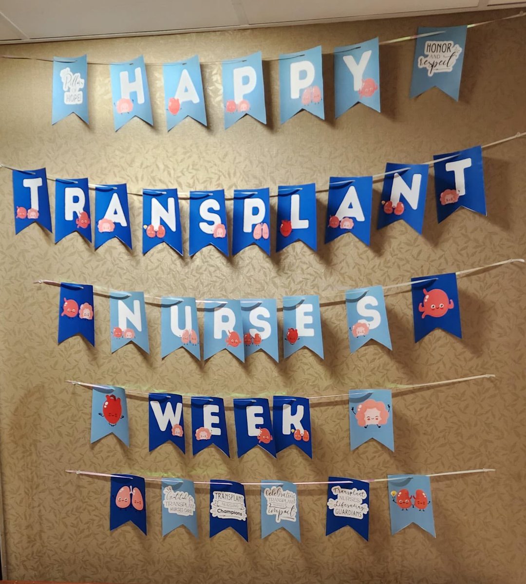 Happy Transplant Nurses Week!! We are so proud to be part of this life changing specialty 🫁🩺