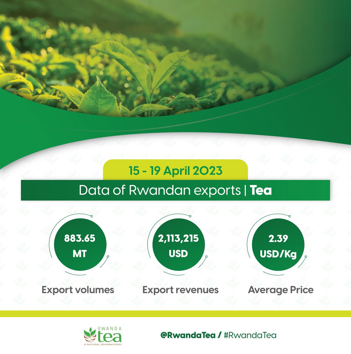 Thanks to our investors and tea lovers worldwide, Rwanda saw a remarkable surge in tea exports last week (15-19 April 2024). Check out the latest stats below and stay with us for more weekly updates. ☕️🫖 #RwandaAgriExports