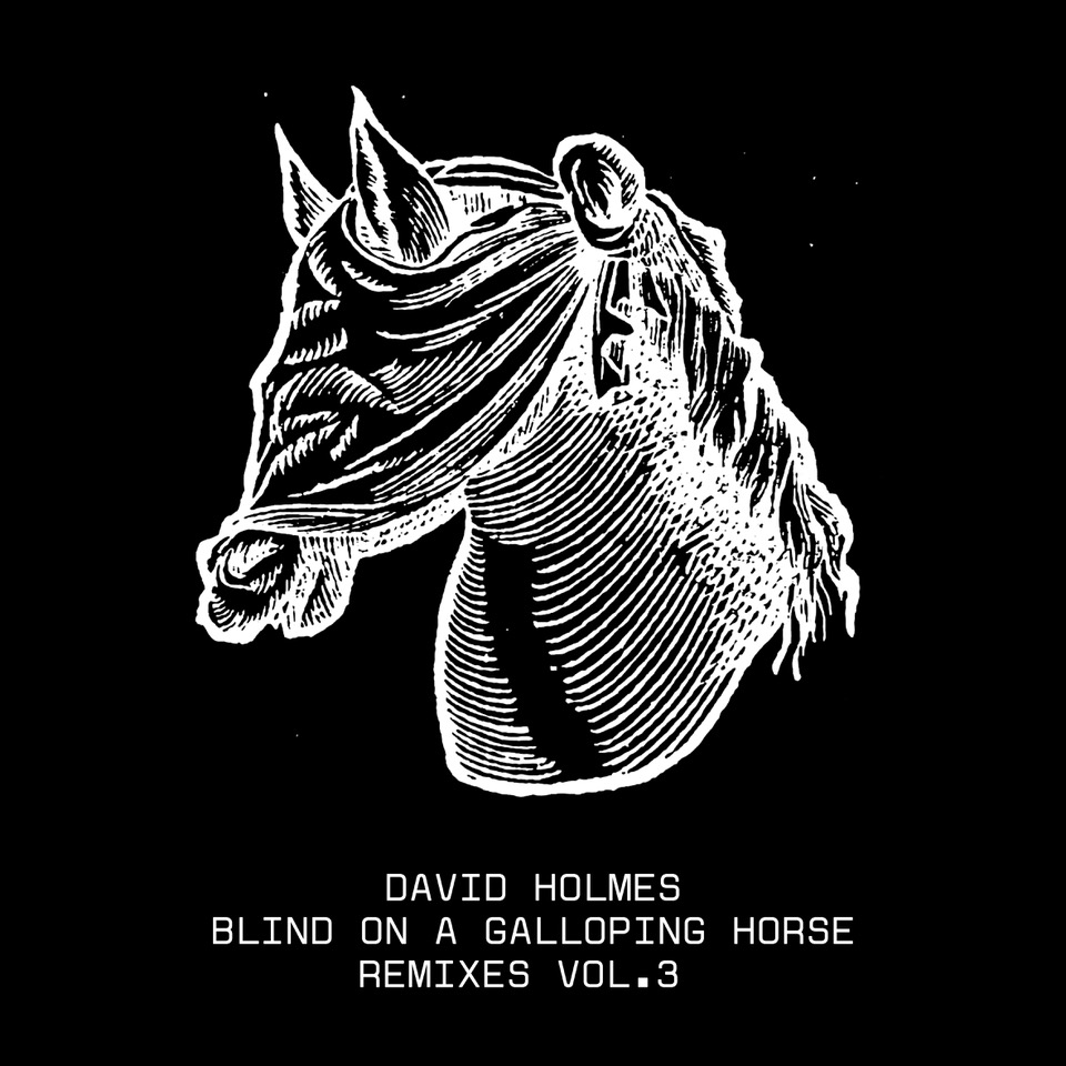 Vol.3 and the final remix compilation of 'Blind On A Galloping Horse feat Raven Violet' is out now! ffm.to/davidholmes-re…