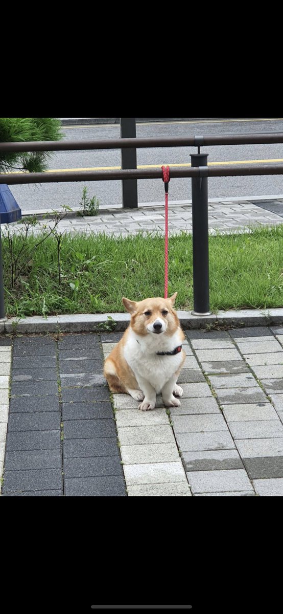 cloud__garden's tweet photo. 그덩어리.. 이 덩어리인가....ㅋㅋㅋㅋㅋㅋㅋㅋㅋㅋㅋㅋ https://t.co/EJ8JTdJZkN
