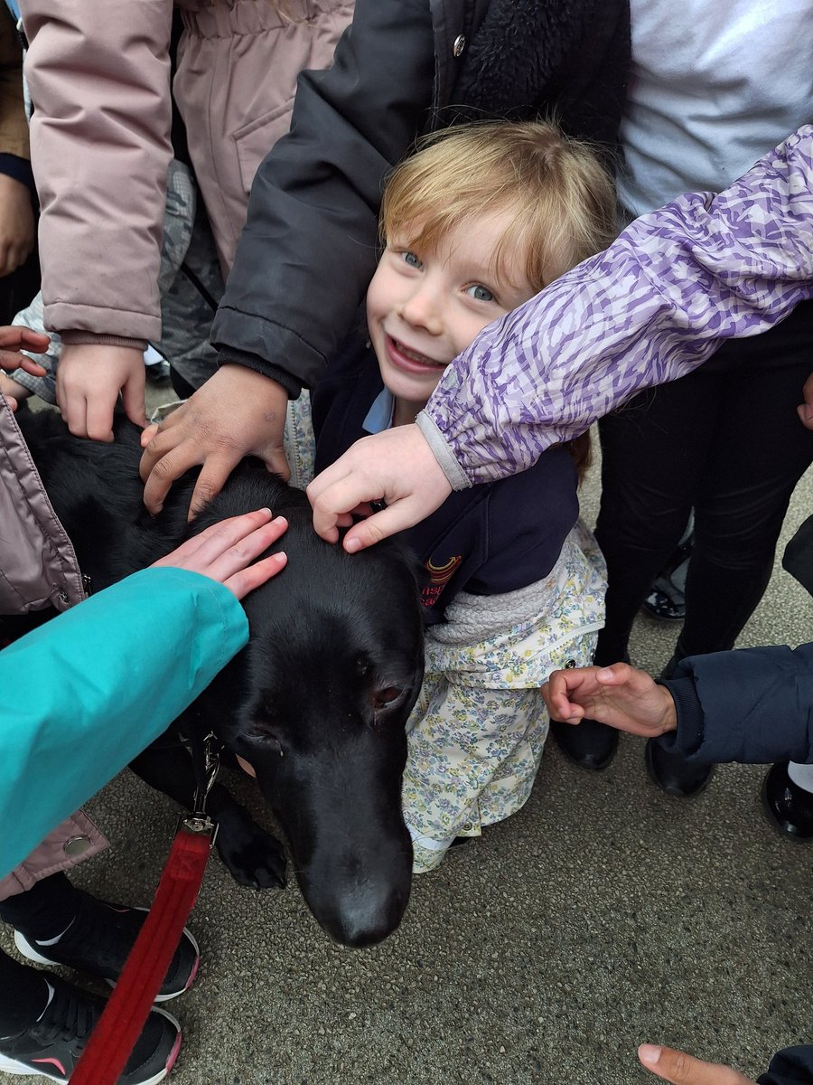 🐾🐕❤️ I felt like a celebrity at break time today 🤣🐾 @Inspire_Ashton #schooldog #friends #love