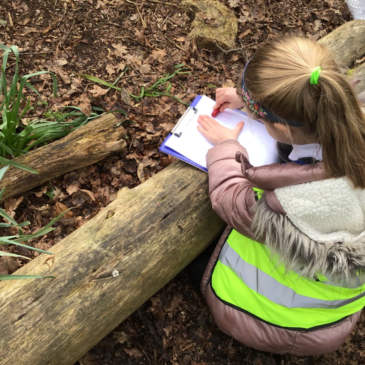 Hollyfield Primary tweet media