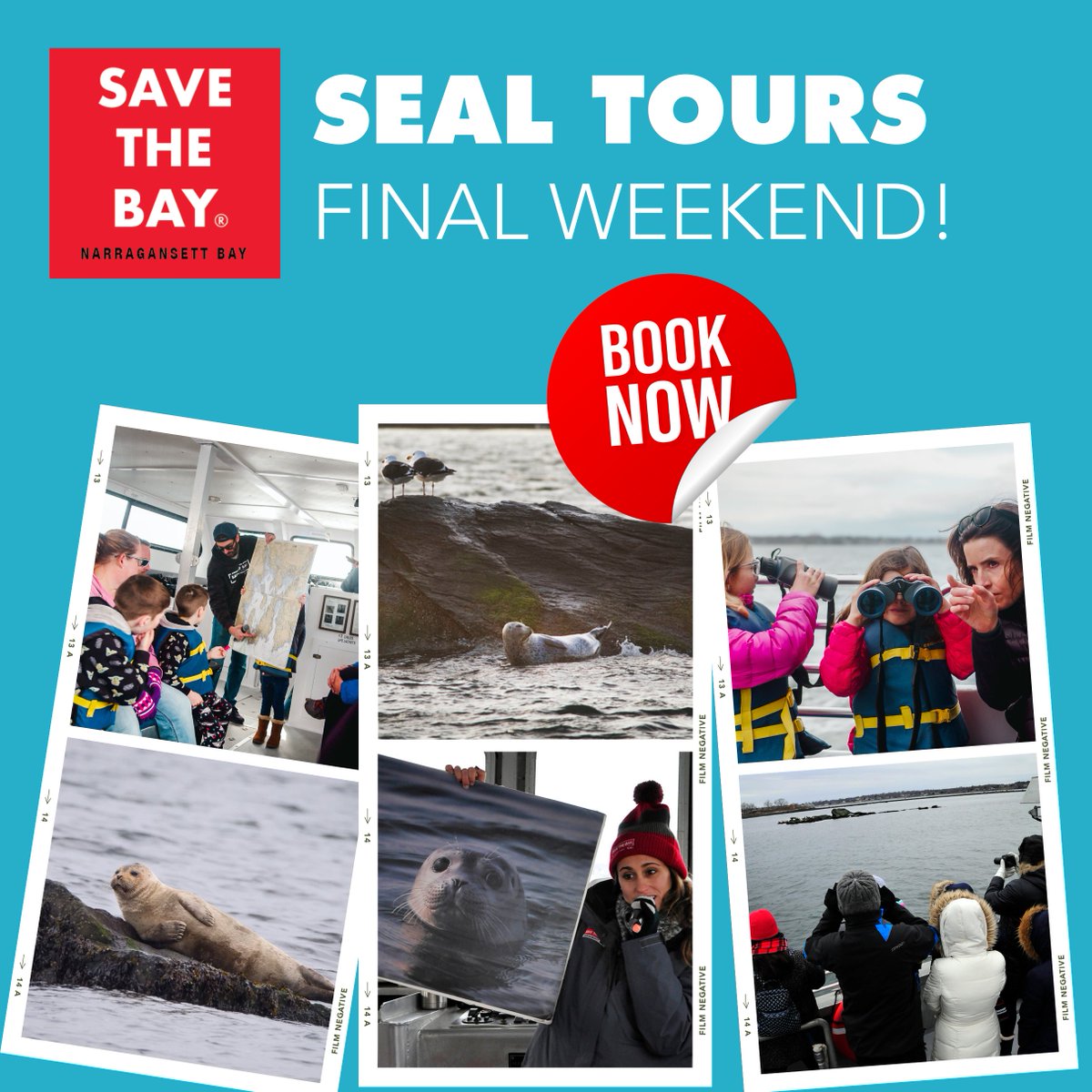 Last chance to see the seals! Save The Bay's Newport Seal Tours end April 28th! Tickets: 🖥️ savebay.org/seals 📞 401-203-SEAL Members: $17 #savethebayri #narragansettbay #newportri