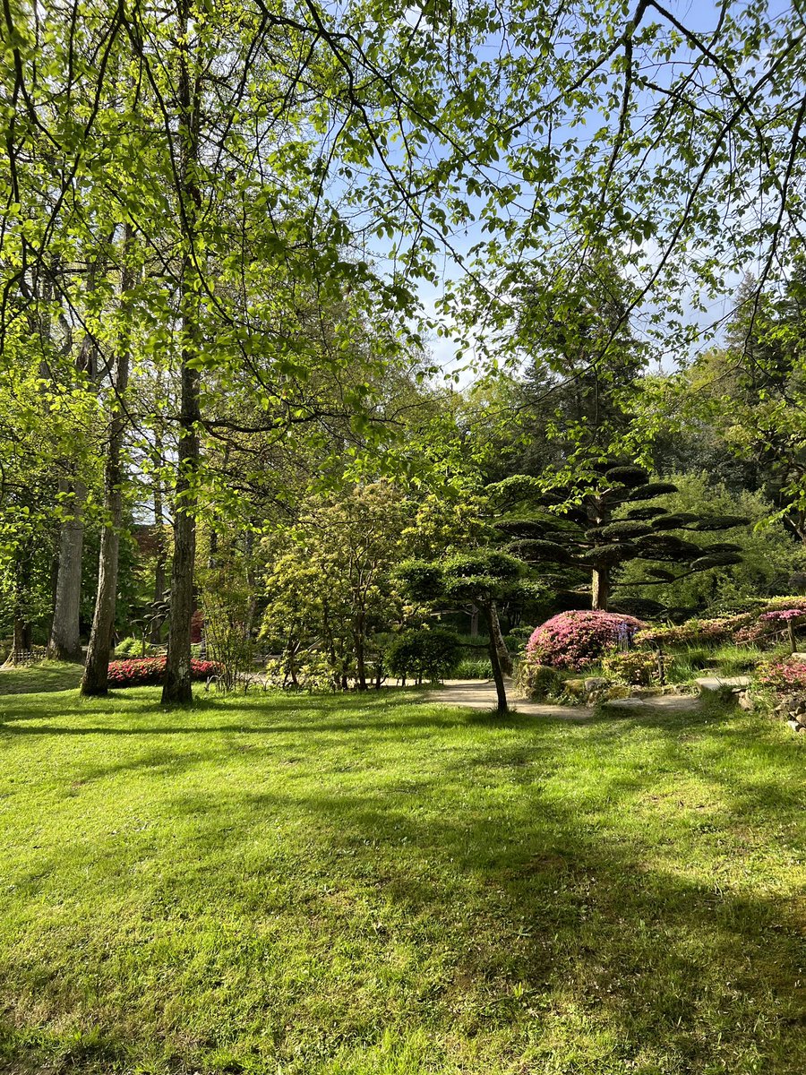 Parc Oriental tweet media