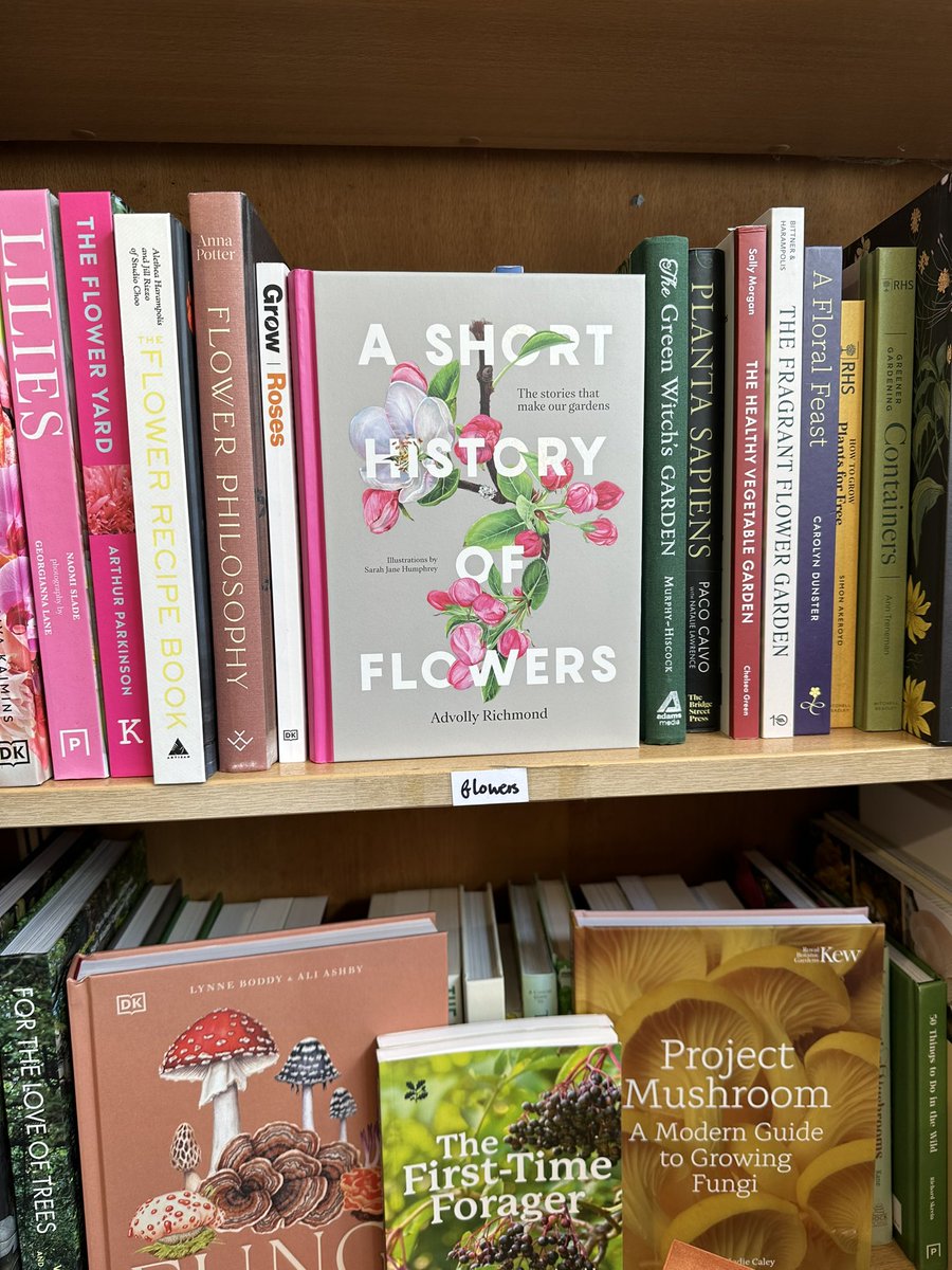 Pretty nice to find ‘A Short History of Flowers’ in my local bookshop #newbook #bookillustration @AdvollyR