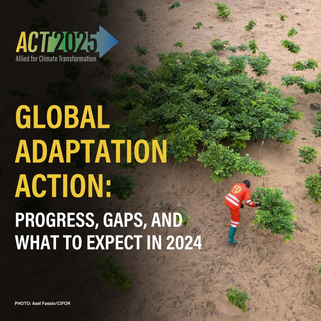 In an era of record-breaking temperatures, #ACT2025 has launched a comprehensive go-to-guide on #GlobalAdaptation that examines the outcomes of #COP28, and sets expectations on what is needed at #COP29🌎

Take a look the research ➡ bit.ly/49OIV31