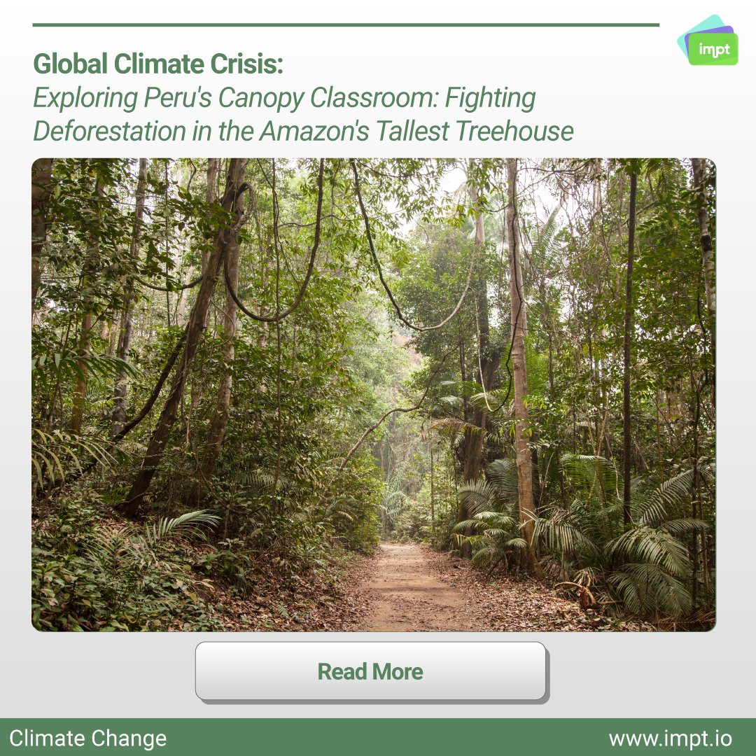 IMPT_token's tweet photo. Discover how education and technology are transforming the lives of Peruvians, equipping them to combat deforestation in the heart of the Amazon. Read more: https://t.co/20fSoURCmz #Sustainability #AmazonConservation https://t.co/0zg8REHW8e