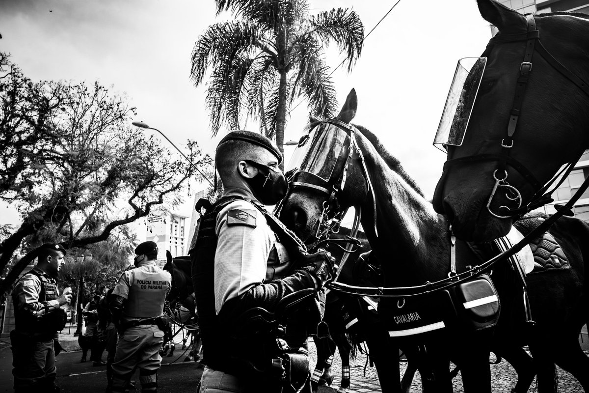 The masked Faith
.
.
.
#streetphoto #parks #street #photo #shadow #church #departure #streetlife #urbanphotography #life #blackandwhite #streetart #photographer #city #streetstyle #art #travel #travelphotography #urban #faith #horses #police