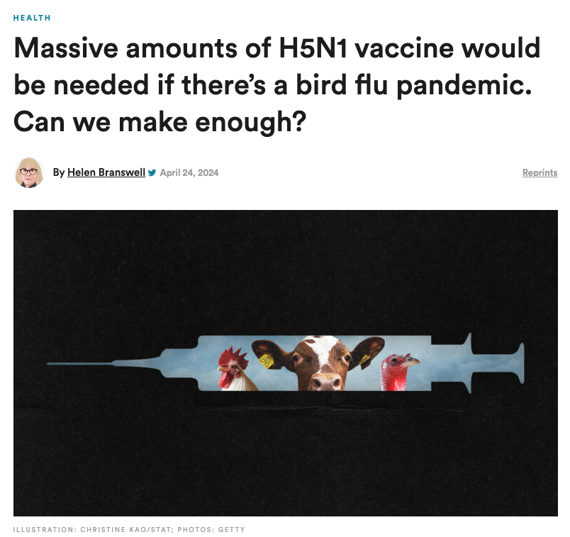 Everything you ever wanted to know about vaccines for H5N1 avian influenza (including things you didn't even know you wanted to know...)👇 tinyurl.com/2euydcmh by the great @HelenBranswell.