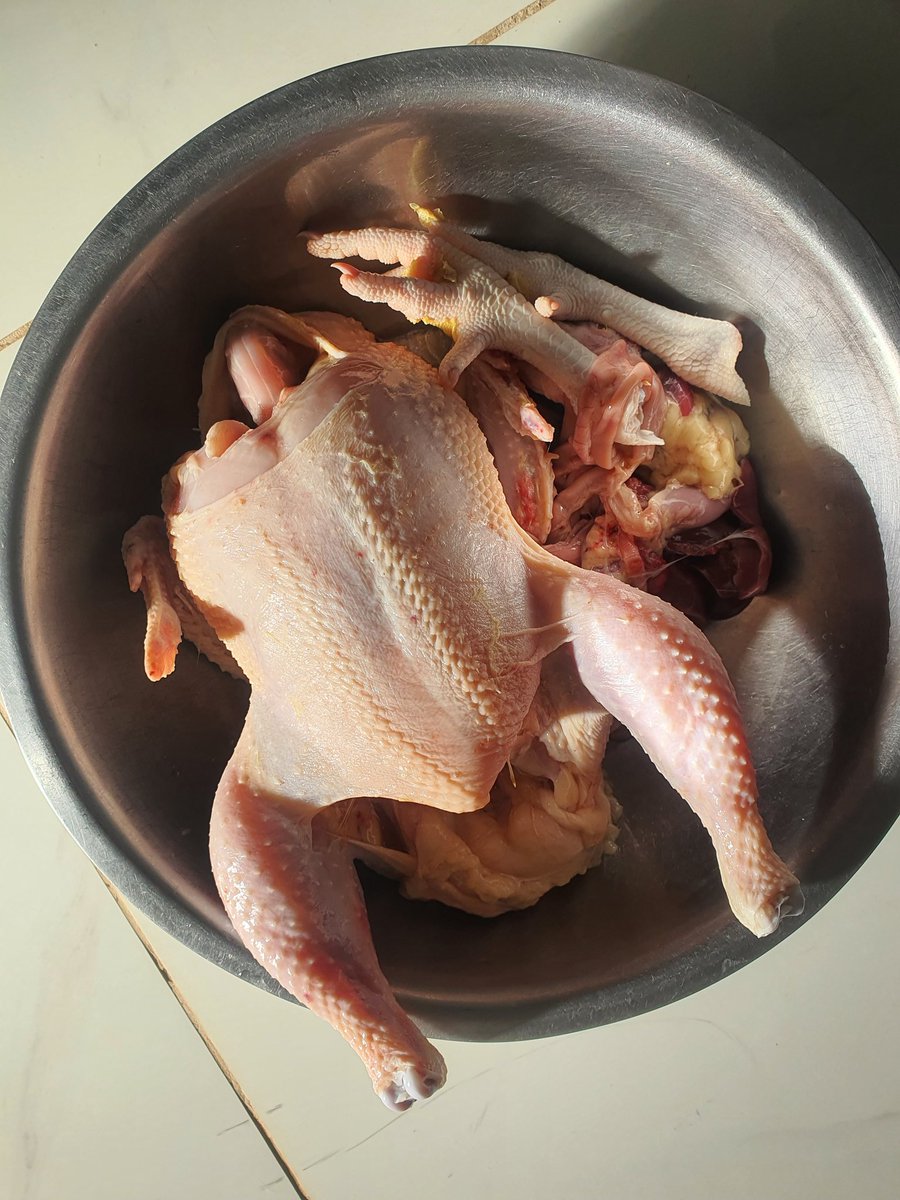 GAgrifarming's tweet photo. Harare tengai huku mari yacho toda kuishandisa🤣, it's ONLY $6.00 chete and huku dzacho ihombe (1.7/1.8kg dressed weight). Apa huku dzacho kunaka chete mmmh kuseri! Free delivery for any quantities Harare CBD and 10km radius from CBD, for a minimum of 10 birds.

Order 0774848984 https://t.co/aBftAoD9r8
