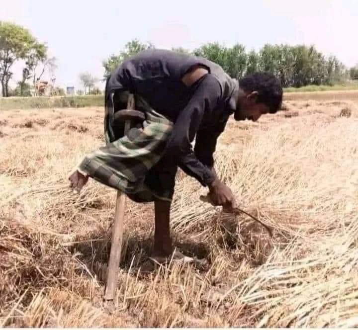 bilalraza56998's tweet photo. جو روٹی چُرائے اُسے سولی پہ چڑھا دو
جو مُلک کو لُوٹے اُسے کرسی پہ بٹھا دو
اس دور کے مُنصف نے لکھا ھے قلم سے
غربت نہیں مٹتی تو غریبوں کو مٹا دو
#poor #Poverty #poorpeoplehelp #poorpeople #poorman #PoorHelp #ashrafiya https://t.co/Zn5FGJhpCV