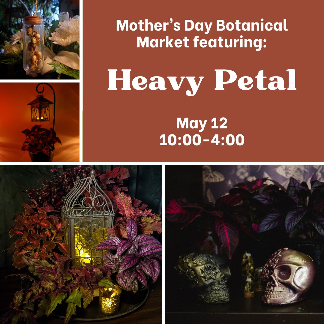 Heavy Petal is coming to the Eldon House Mother's Day Botanical Market! Come by on May 12 from 10:00-4:00 and shop for spooky inspired botanicals! #ShopLocal #LdnOnt #ShopLdnOnt
