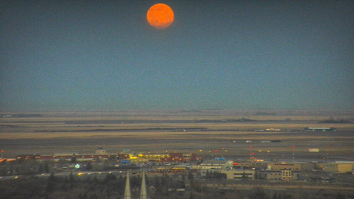 Chris Arden Haynes tweet media