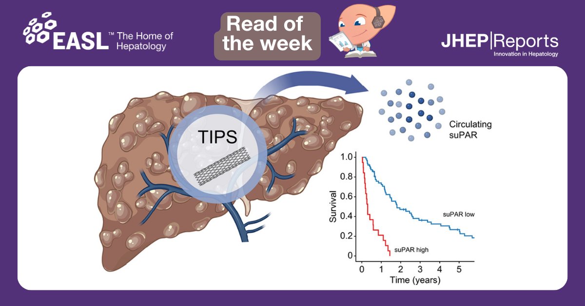 In today's #readoftheweek📚, learn how soluble urokinase plasminogen activator receptor, as a surrogate of hepatic inflammation, may be used to stratify care in patients following TIPS insertion. Read here this #openaccess @JHEP_Reports article: jhep-reports.eu/article/S2589-… 🙏…