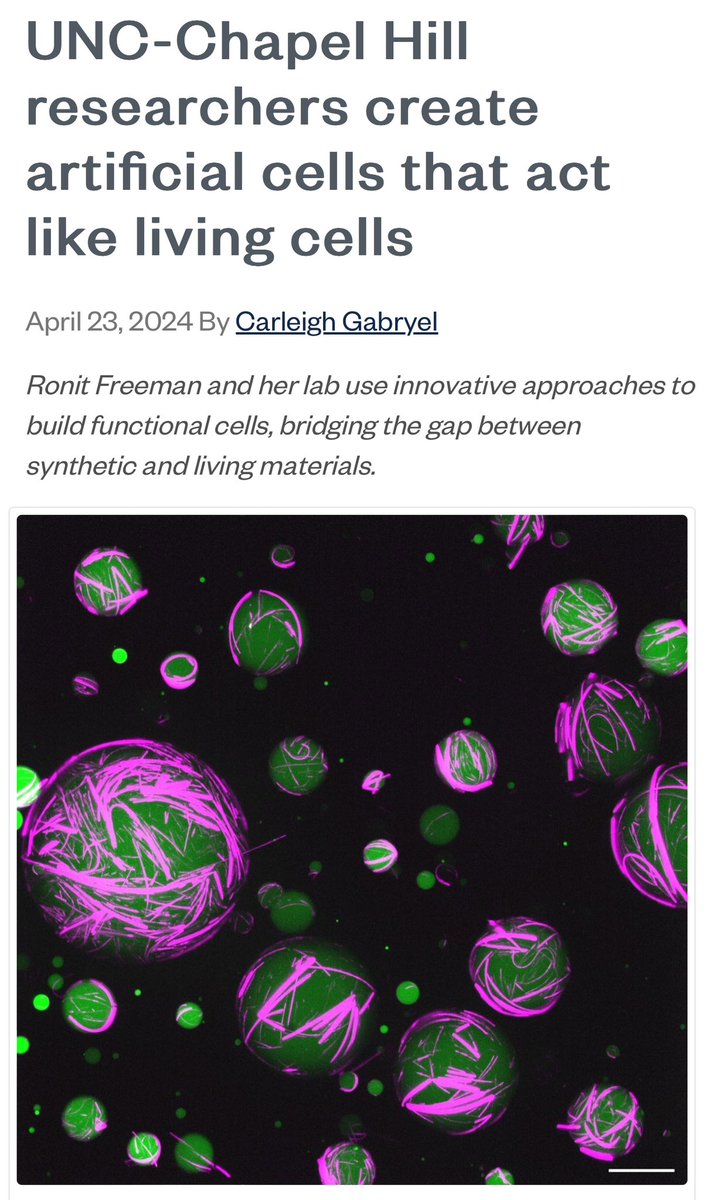erwinloh's tweet image. Researchers create #artificialcells that act like living #cells. This accomplishment, a first in the field, has implications for efforts in regenerative medicine, drug delivery systems, and diagnostic tools. 

nature.com/articles/s4155…