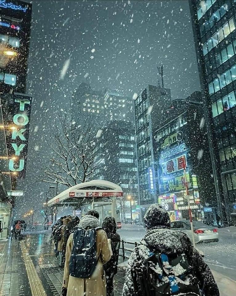 Sapporo-Shi , Hokkaido Japan 🇯🇵