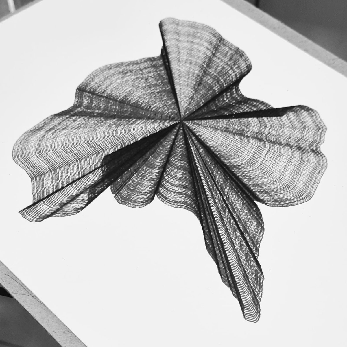 GM genart lovers ...

The Algorithm generates the shapes, the computer coordinates the party and the pen-plotter makes the magic happen.

morphoLogics

#penplotter #genart #generativeart