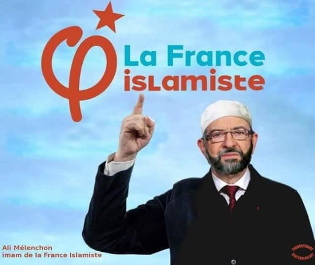 La #LFI est le Cancer de la France, les muzs en sont les métastases ☠️👑