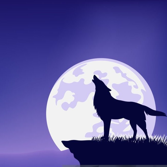 Monad Wolf tweet media