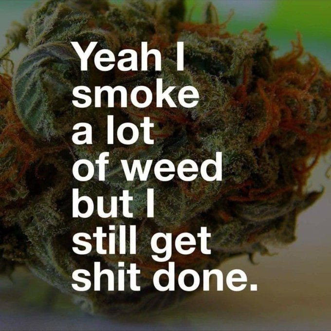 Do you smoke a lot of weed and still get shit done?  Yes or no  #Wednesdayvibe  #StonerFam #Weedmob #MMJ #Marujuana