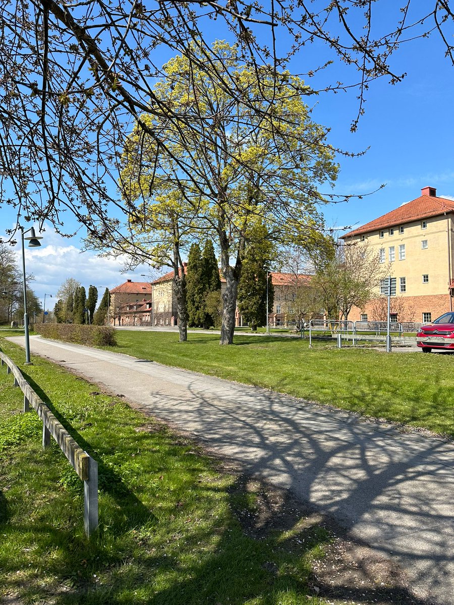 OMEP_UK's tweet photo. Hello Kristianstad! 👋
The sun is shining, and the birds are singing, setting the scene for OMEP's European Conference and Assembly! ☺️
#omep #omepuk #conference #sustainability #worldassembly #earlyyears https://t.co/No9vVLUi57