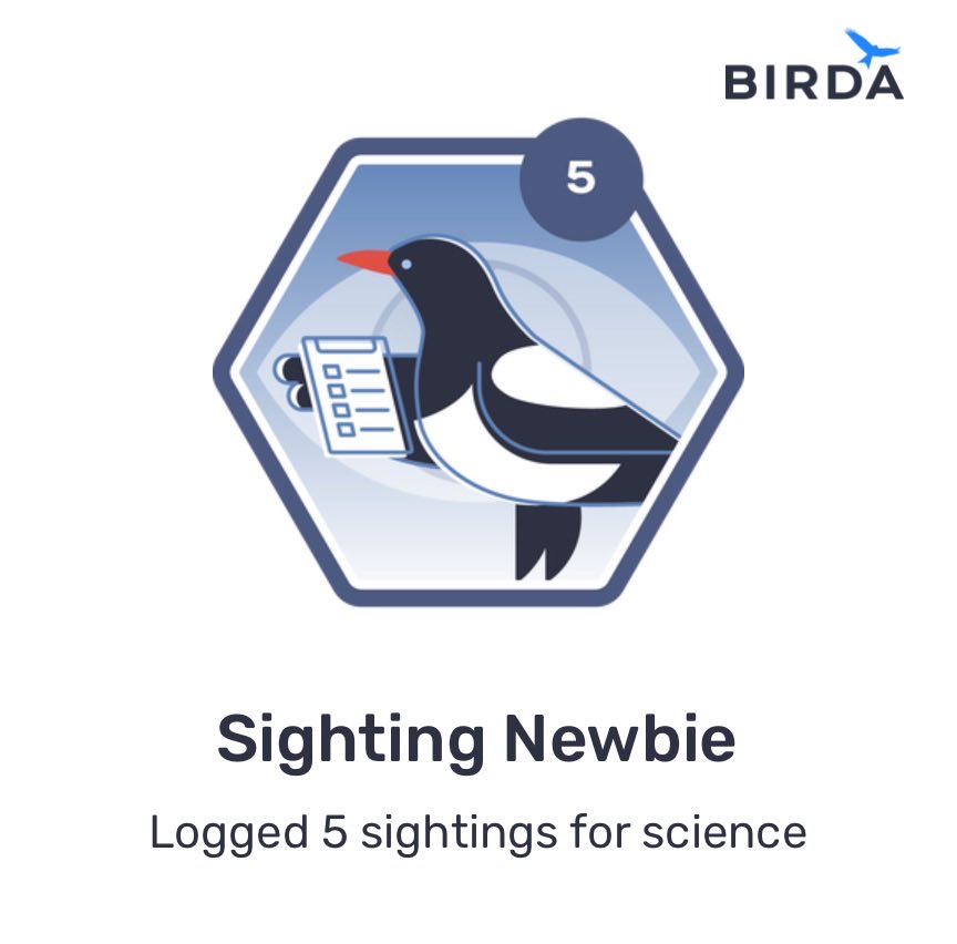 RHIAN_MAI's tweet photo. I've won the Sighting Newbie badge on @birda_org! #birds #birding #birdwatching https://t.co/DhxhXk5cvQ