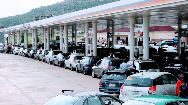 Emma ik Umeh (Tcee )🇳🇬 tweet media