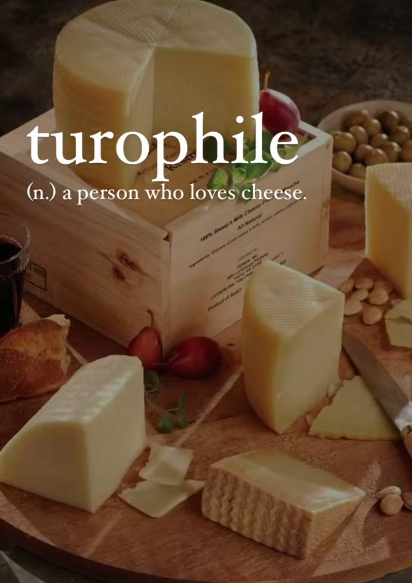 _100Countries's tweet photo. I think 99% of my followers are Turophiles! 😍
#Cheeeeeeese https://t.co/2iR87S1ANJ