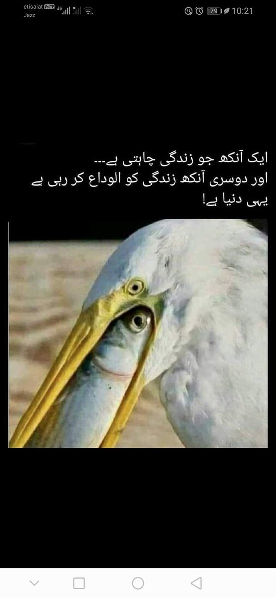 Munawar1613's tweet photo. Good evening! Wishing you a peaceful and relaxing evening ahead. https://t.co/fv9KfhyVsN