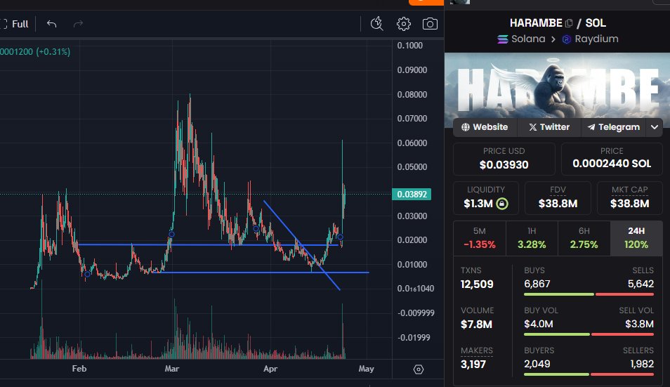 I've continued to hold #HARAMBE down to the lows and even bought more on the dip. You can't fade a cult like this. The @harambeonsolana community is wild!