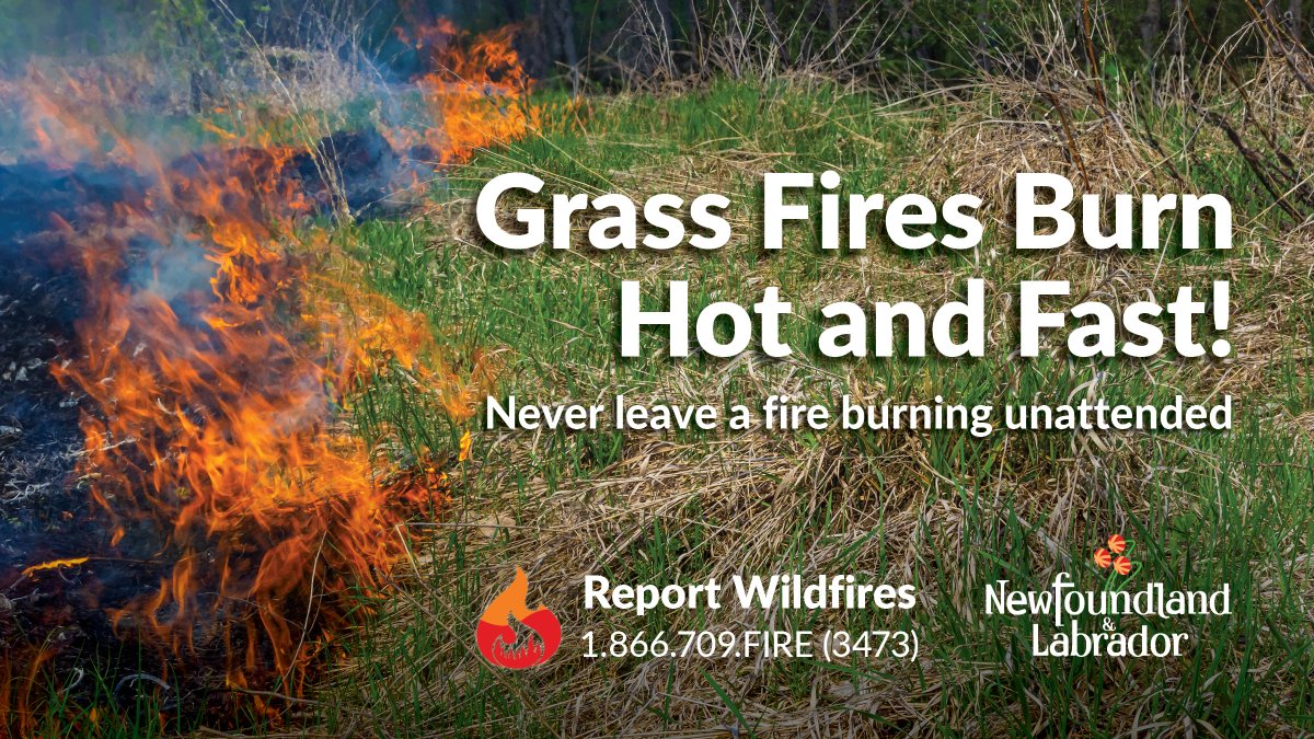 Burning grass can destroy wildlife habitat & cause dangerous fire conditions. Firefighters have responded to several fires caused by human activity this spring. Please be careful. #IAmFireSmart #nlwx #GovNL @FireSmartCanada