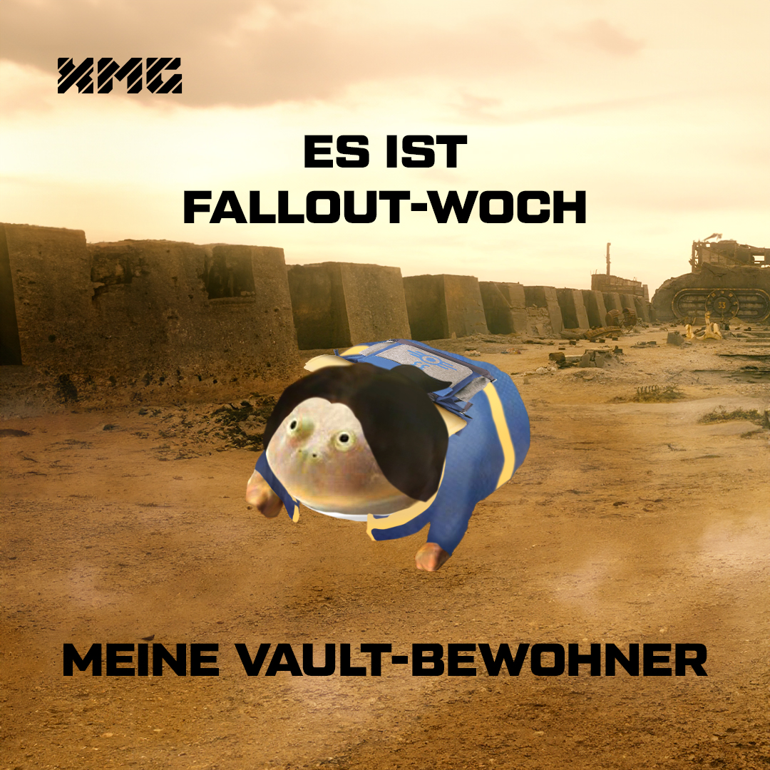 🐸 🧭 #Mittwoch #XMG #Meme #Frosch #MittwochsFrosch #XMGFamily #Fallout