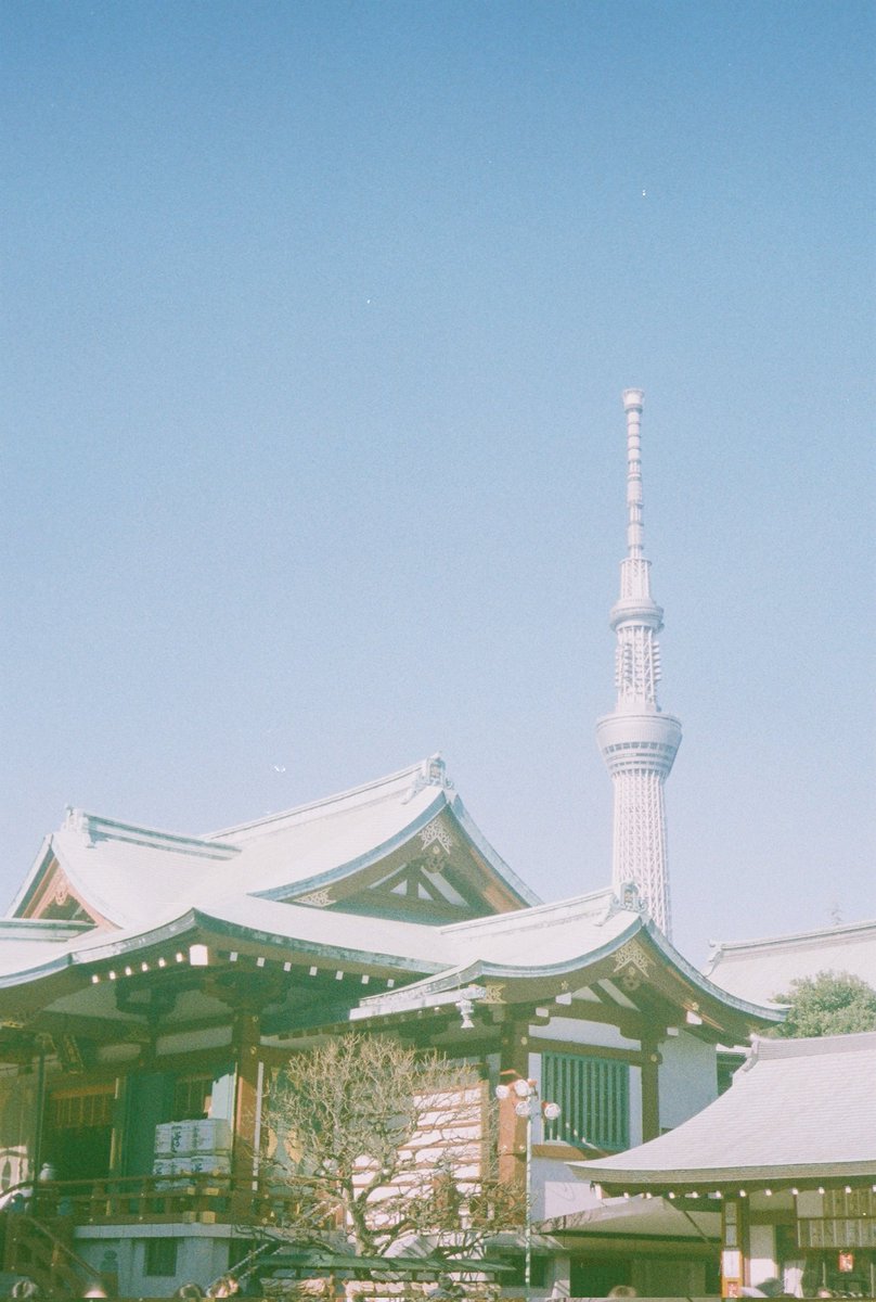 亀戸天神

みんな猿回し見たら最後にお金払うんだよ〜

OLYMPUSPEND3
写ルンです1600expiredfilm
@tetsuya4281 さんで郵送現像

#filmphotography #フィルム写真 #フィルムカメラ #写真好きな人と繋がりたい