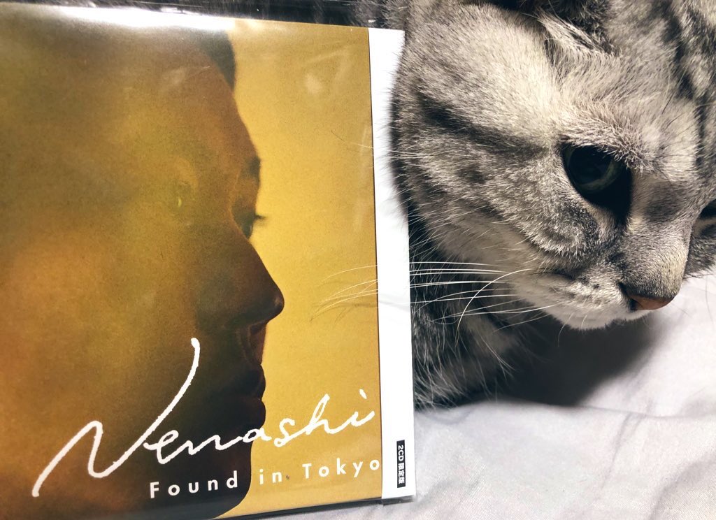 atom_and_luke's tweet photo. 何ループしてもずっと聴いてる
#Nenashi というアーティストの果てしない完成度と感性に脱帽🙌🏼🐫🌴 
#FoundinTokyo #origamiproductions https://t.co/vCQY9NEy3d