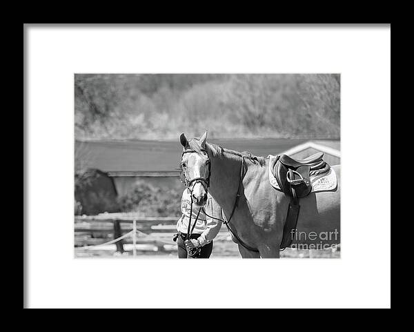 Horse Gaze: fineartamerica.com/featured/horse… #photographer #horses #animallovers #BuyIntoArt #prints