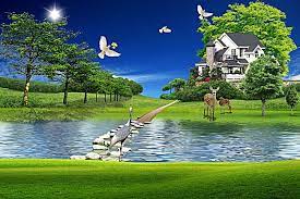 look at the nature