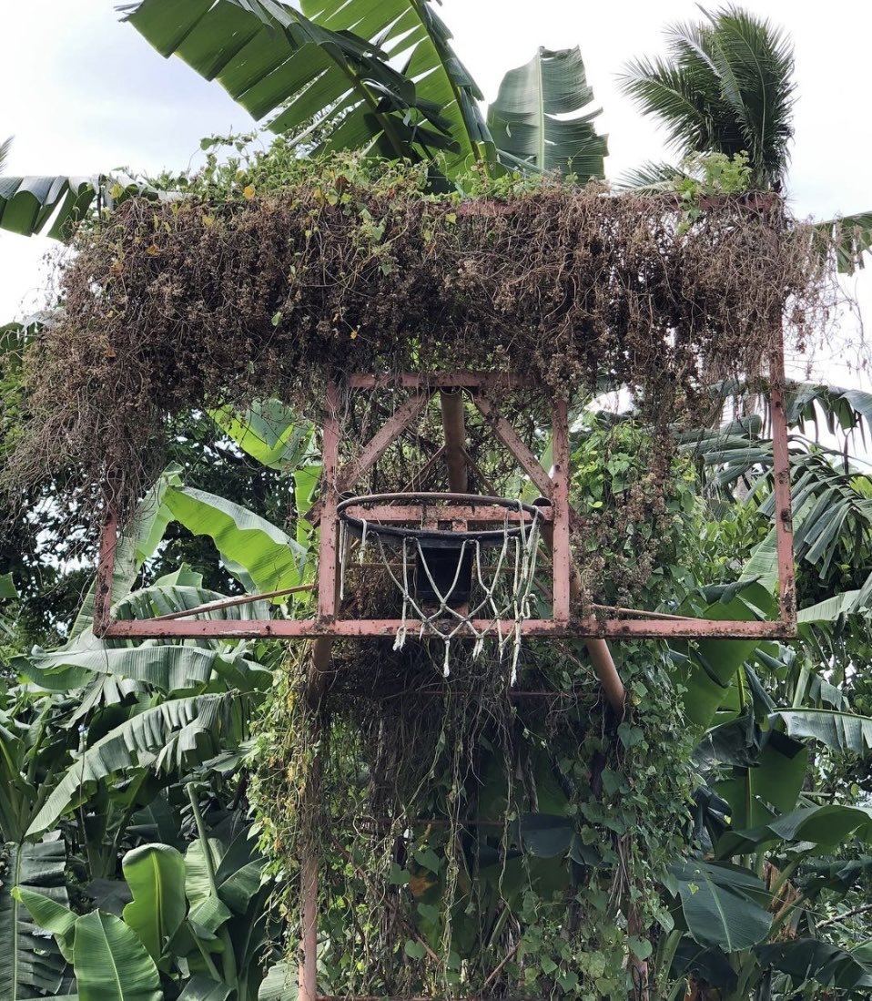 Hoop of the Day….Marinduque, Philippines. #hoopoftheday