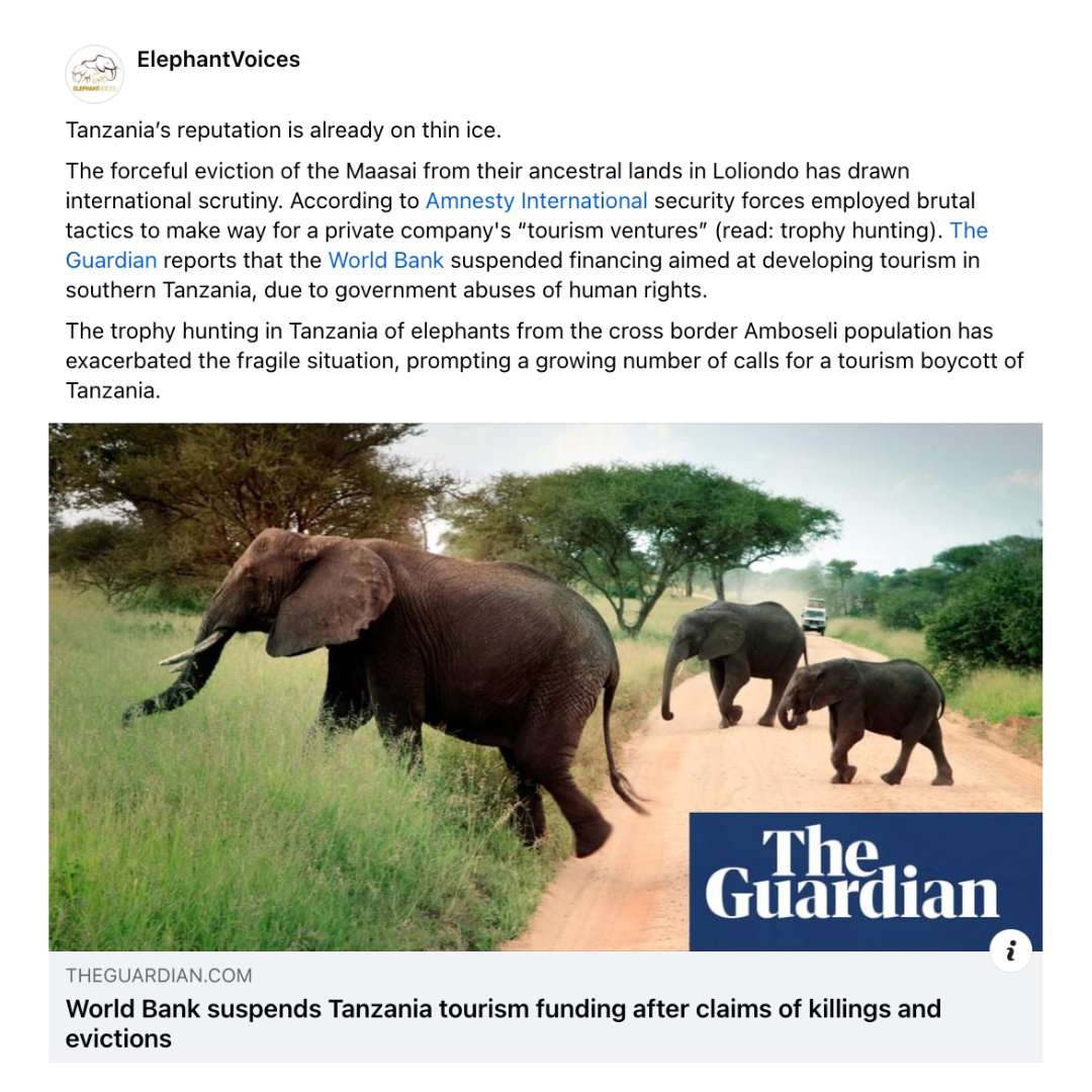 via @elephantvoices Facebook page you can read the @guardian article here: bit.ly/3Uwt0Su