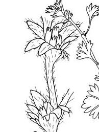 Mick Crawley tweet media