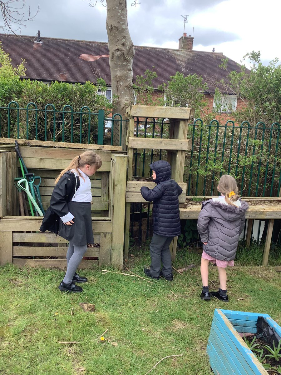 westheathprim's tweet photo. #WHPSClass7 did some fact finding in Forest School this afternoon ranking Ancient Egyptian facts from least to most important! The children then did a quiz to their knowledge!
#WHPSHistory https://t.co/fXFhrgnUfz