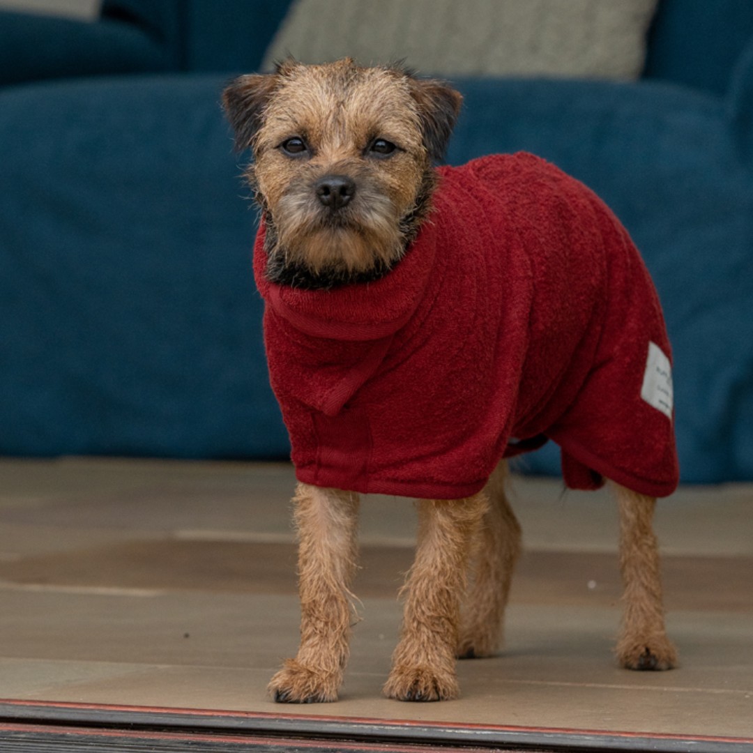 RuffTumbleCoats's tweet photo. There's one way to stop muddy fun becoming a messy house...
and it's called a Ruff and Tumble Drying Coat.
The original and best way to dry wet dogs fast.
SHOP: https://t.co/RIODSHuS7s
#ruffandtumble #dryingcoats #bestdryingcoats #dogdrying https://t.co/OydmeZ1cql