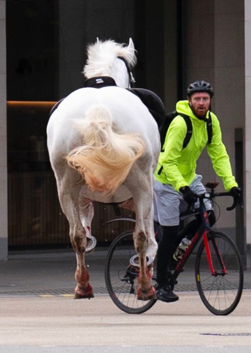 Jeremy Vine must be kicking himself that he couldn't go all Emily Davison under those hooves.