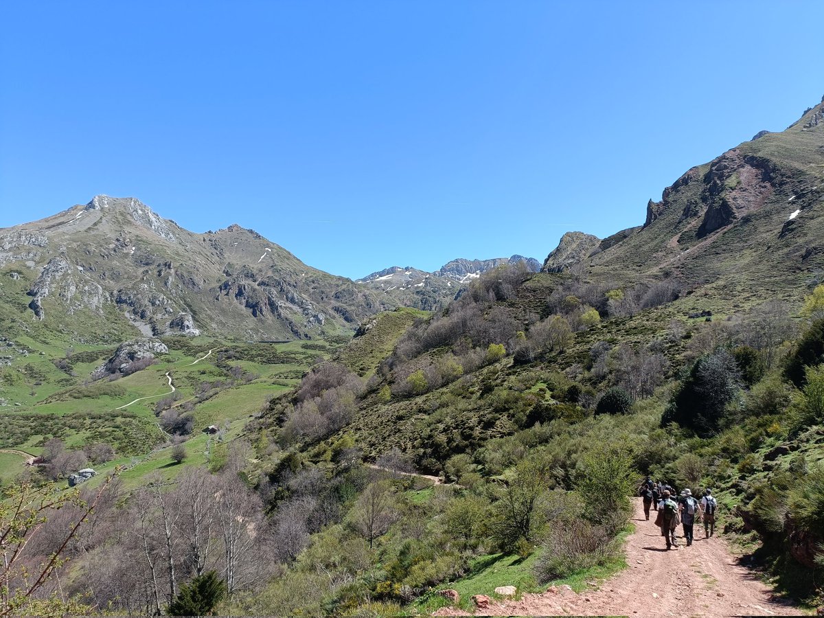 We've reached the end of @BScWildCon #Somiedo's fieldtrip. Over the past 7 days, we've explored a stunning area in the Cantabrian Mountains, its natural, historical and cultural heritage. From on-site surveys to wildlife observations and camera trapping🦌🐗 🐻 See you soon!!