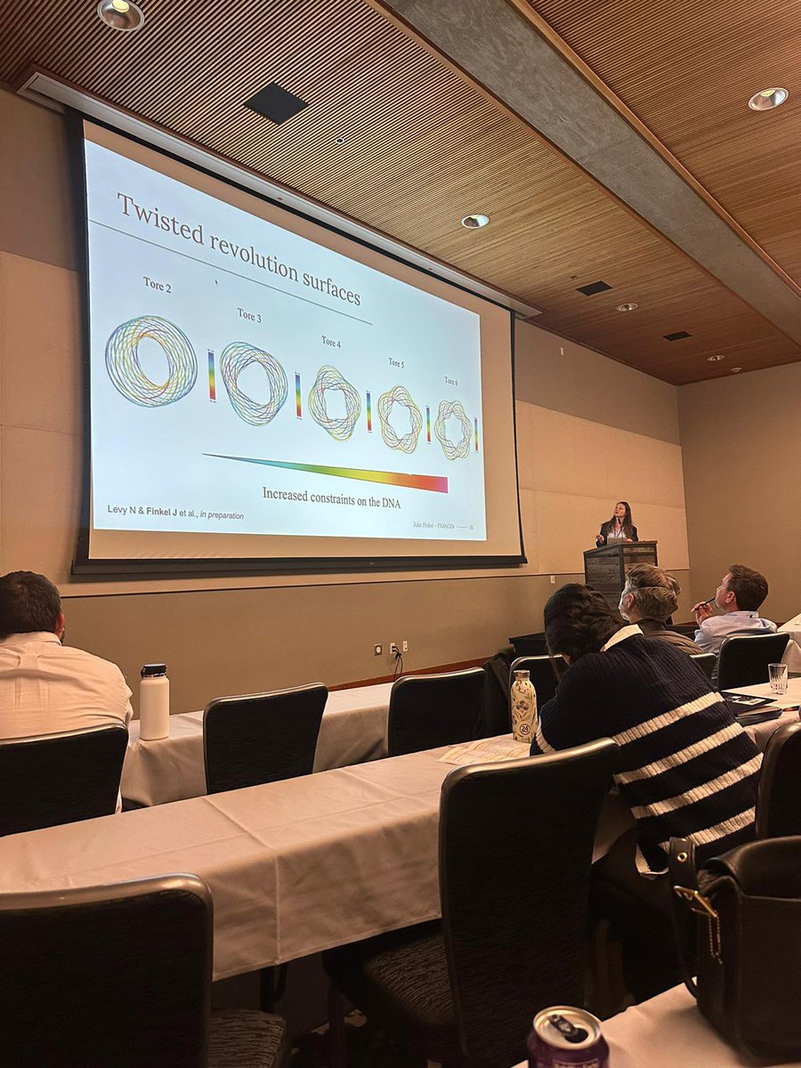 I was so honored to be able to present my PhD work at #FNANO24 yesterday! Such a great experience! 🧬

Don’t forget to come to our <a href="/WONDER_DNA/">WONDER</a> networking event tonight at the 10th floor of the Cliff lodge after the Dirks prize ceremony. Men are also welcome! 🤝