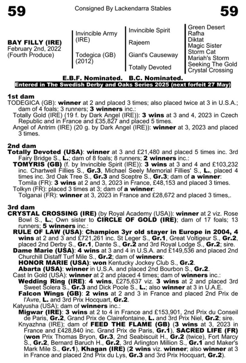 Lot 59 @GoffsUK Doncaster @BrzUps sells for £20,000 to @Deburghequine @MartinBuick on behalf of trainer Silja Støren in Norway. Filly by Invincible Army from @Lackendarra_stb
