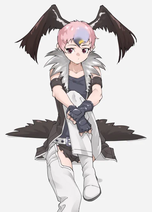 ハゲワシ 