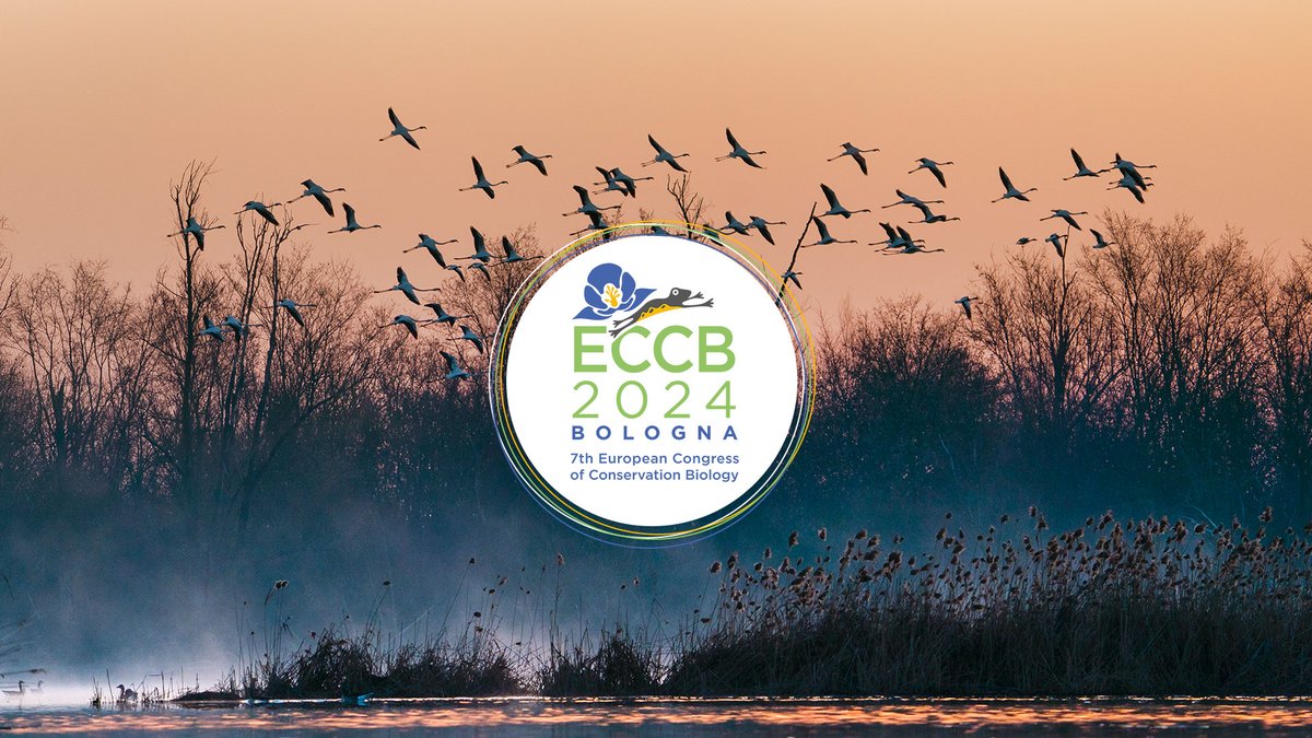 📢Meet OBSGESSION at the 7th European Congress of Conservation Biology (@ECCB_2024).

🗓️We'll be in Bologna 🇮🇹 between 17th-21st of June so make sure to come check out our poster and learn more about our project.