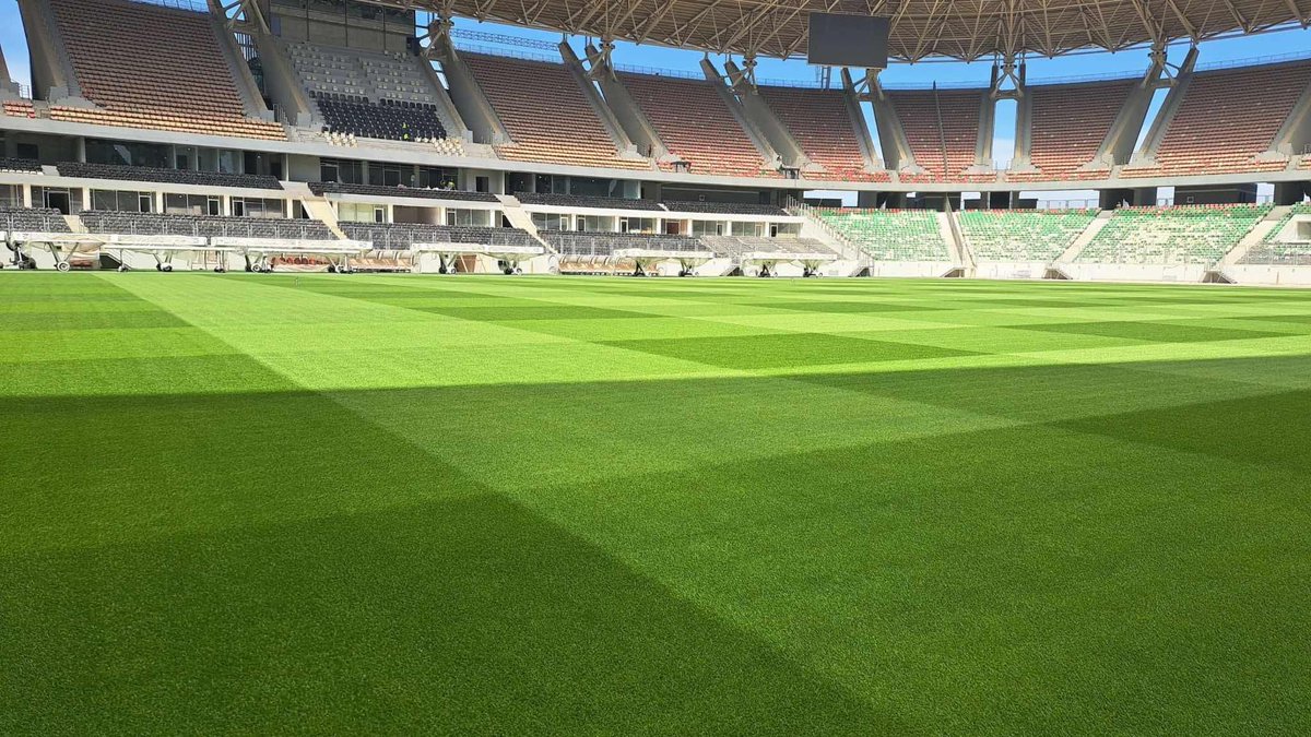 Algeria Project tweet media