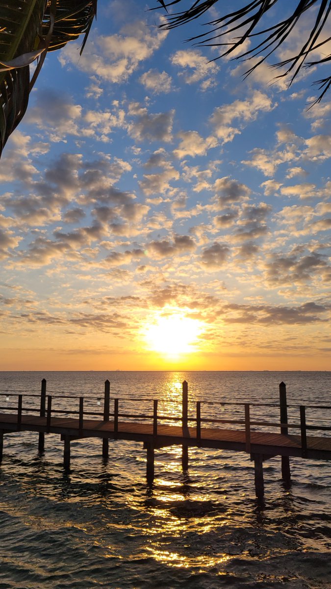 Wednesday 🌞 

#stpete #florida #sunrise #humpday #salt #views #serenity