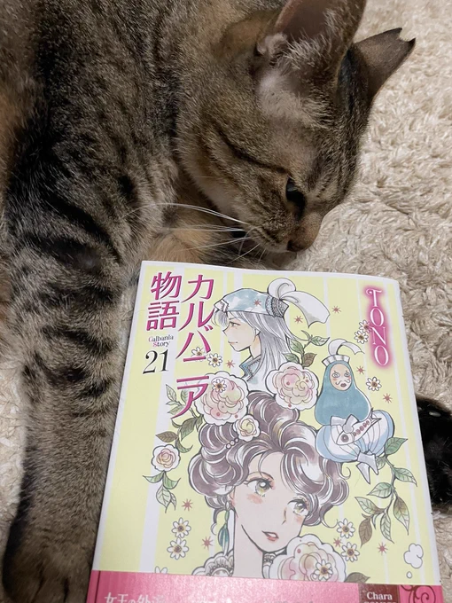 新刊来てました〜。
明日発売です💖 